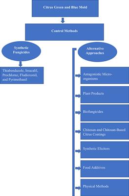 Alternative Management Approaches of Citrus Diseases Caused by Penicillium digitatum (Green Mold) and Penicillium italicum (Blue Mold)